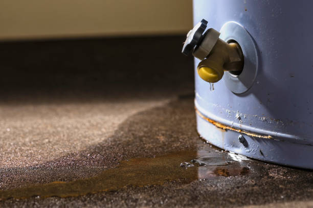 Best Ceiling water damage repair  in West Swanzey, NH
