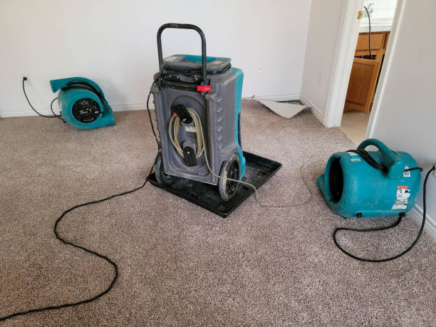 Best 24/7 water damage repair  in West Swanzey, NH