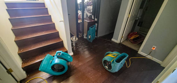 Best Water damage restoration near me  in West Swanzey, NH