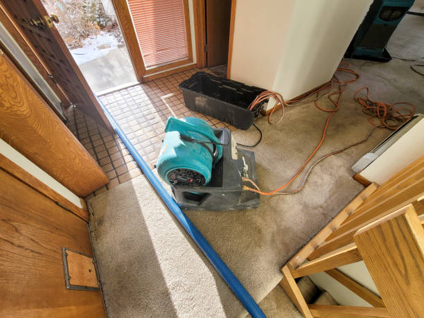 Best Basement water damage restoration  in West Swanzey, NH