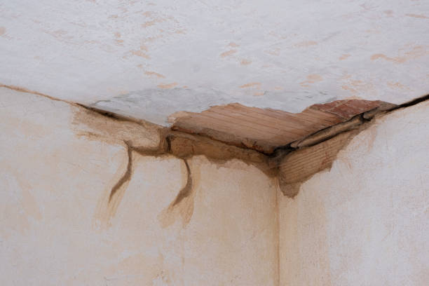 Best Flood restoration services  in West Swanzey, NH