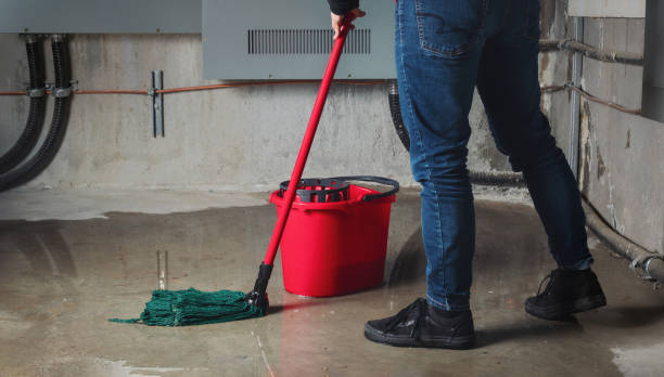 Best Mold removal after water damage  in West Swanzey, NH
