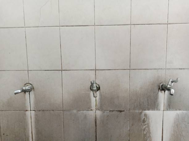Best Carpet water damage restoration  in West Swanzey, NH