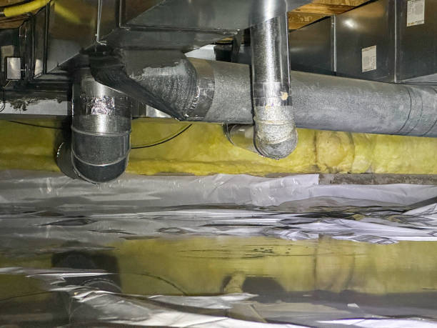 Best Water damage restoration specialists  in West Swanzey, NH