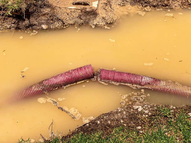 Best Emergency water damage restoration  in West Swanzey, NH