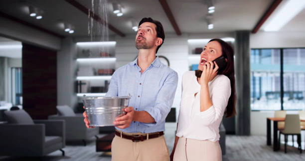 Best Commercial water damage restoration  in West Swanzey, NH