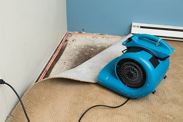 Best Flood damage cleanup  in West Swanzey, NH